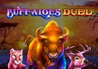Buffaloes Duel